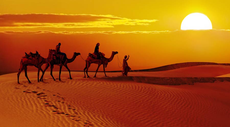 ../../img/details/india/rajasthan/camel-safari-1.jpg